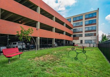 Dog Park at City Lofts on Laclede